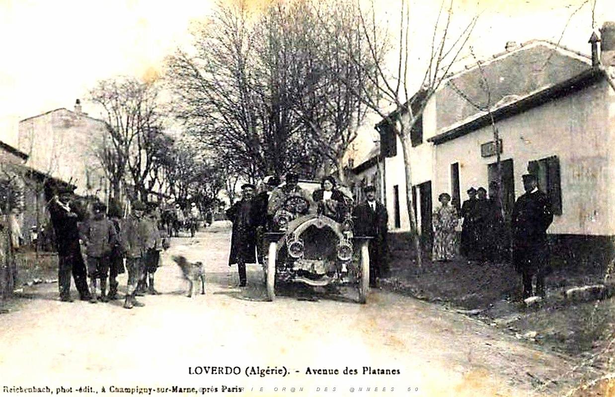 1585- Loverdo - Avenue des Platanes.jpg